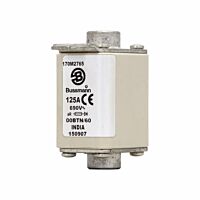 170M2765 Ultra rychlá pojistka pro ochra