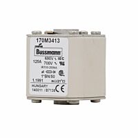 170M3413 Ultra rychlá pojistka pro ochra