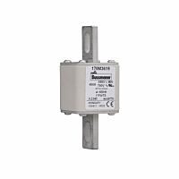 170M3619 Ultra rychlá pojistka pro ochra