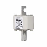 170M4018 Ultra rychlá pojistka pro ochra