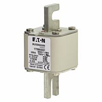 170M4061 Ultra rychlá pojistka pro ochra