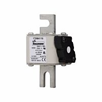 170M4116 Ultra rychlá pojistka pro ochra