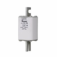 170M4195 Ultra rychlá pojistka pro ochra