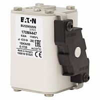 170M4447 Ultra rychlá pojistka pro ochra