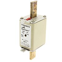 170M4867D Ultra rychlá pojistka pro ochr