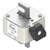 170M6106 Ultra rychlá pojistka pro ochra