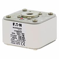 170M6408 Ultra rychlá pojistka pro ochra