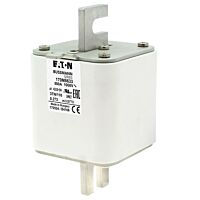 170M8633 Ultra rychlá pojistka pro ochra