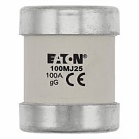 100A 415V AC FERRULE FUSE
