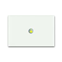 ABB PRION Ovladač 2CKA006310A0168 jednonásobný bílé sklo, 6340-811-101-500