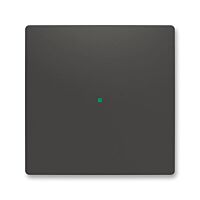 ABB Kryt ZONI 6220T-A01000 237 ovládání 1násobný, bez potisku matná černá