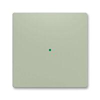 ABB Kryt ZONI 6220T-A01000 243 ovládání 1násobný, bez potisku olivová