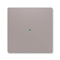 ABB Kryt ZONI 6220T-A01000 244 ovládání 1násobný, bez potisku greige