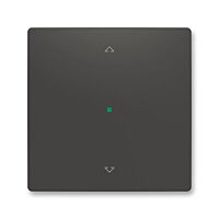 ABB Kryt ZONI 6220T-A01002 237 ovládání 1násobný, symbol "žaluzie" matná černá