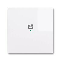 ABB Kryt ZONI 6220T-A01003 500 ovládání 1násobný, symbol "scény"bílá