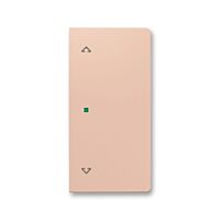 ABB Kryt ZONI 6220T-A02002 242 ovládání 2násobný, symbol "žaluzie"pudrová