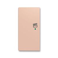 ABB Kryt ZONI 6220T-A02103 242 ovládání 2násobný levý, symbol "scény" pudrová