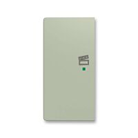 ABB Kryt ZONI 6220T-A02103 243 ovládání 2násobný levý, symbol "scény" olivová