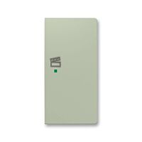 ABB Kryt ZONI 6220T-A02203 243 ovládání 2násobný pravý, symbol "scény" olivová