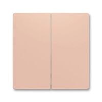 ABB Kryt ZONI 6221T-A01010 242 ovládání dělený pro smart switch pudrová