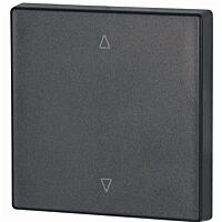 CWIZ-01/24 Kryt RF tlačítka 55x55 mm UP-