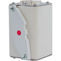 170M2012 Ultra rychlá pojistka pro ochra