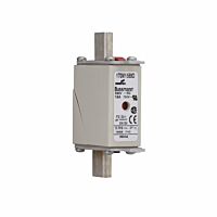 170M1559D Ultra rychlá pojistka pro ochr