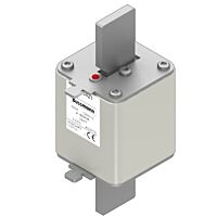 170M5421 Ultra rychlá pojistka pro ochra