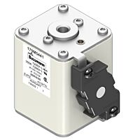 170M5441 Ultra rychlá pojistka pro ochra