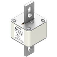 170M5613 Ultra rychlá pojistka pro ochra