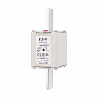 170M5810D Ultra rychlá pojistka pro ochr