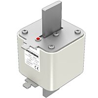 170M6080 Ultra rychlá pojistka pro ochra