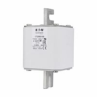 170M6149 Ultra rychlá pojistka pro ochra