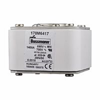 170M6417 Ultra rychlá pojistka pro ochra