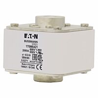 170M6421 Ultra rychlá pojistka pro ochra