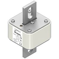 170M6617 Ultra rychlá pojistka pro ochra