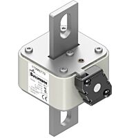 170M6771 Ultra rychlá pojistka pro ochra