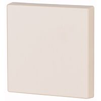 Kryt RF tlačítka 55x55 mm lesklý, 1-0 -