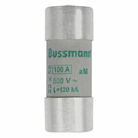 CYL AM 22,2X58 100A/STR Válcová pojistka