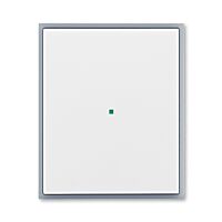 ABB Kryt ELEMENT, TIME 6220E-A01000 04 1násobný, bez potisku; bílá/ledová šedá