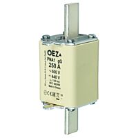 OEZ Pojistka nožová 100A  PNA1 GG