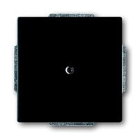 ABB Záslepka FUTURE LINEAR 1710-0-3895