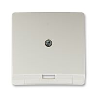 ABB Kryt SWING 5013G-A00213 S1