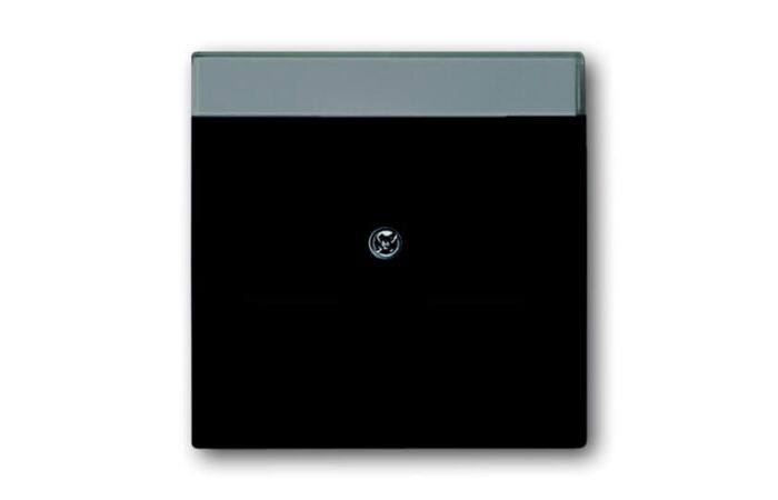 ABB Kryt FUTURE LINEAR 1710-0-3910