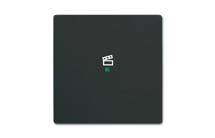 ABB Kryt 2CKA006220A0621 1násobný, symbol „scény“; mechová černá; SRS-1-885