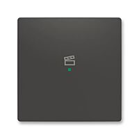 ABB Kryt ZONI 6220T-A01003 237 ovládání 1násobný, symbol "scény"matná černá