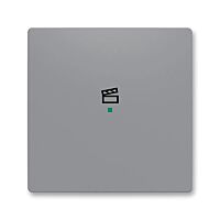 ABB Kryt ZONI 6220T-A01003 241 ovládání 1násobný, symbol "scény"šedá