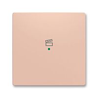 ABB Kryt ZONI 6220T-A01003 242 ovládání 1násobný, symbol "scény"pudrová