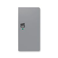 ABB Kryt ZONI 6220T-A02203 241 ovládání 2násobný pravý, symbol "scény" šedá
