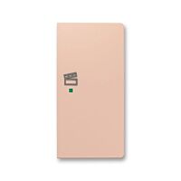 ABB Kryt ZONI 6220T-A02203 242 ovládání 2násobný pravý, symbol "scény" pudrová